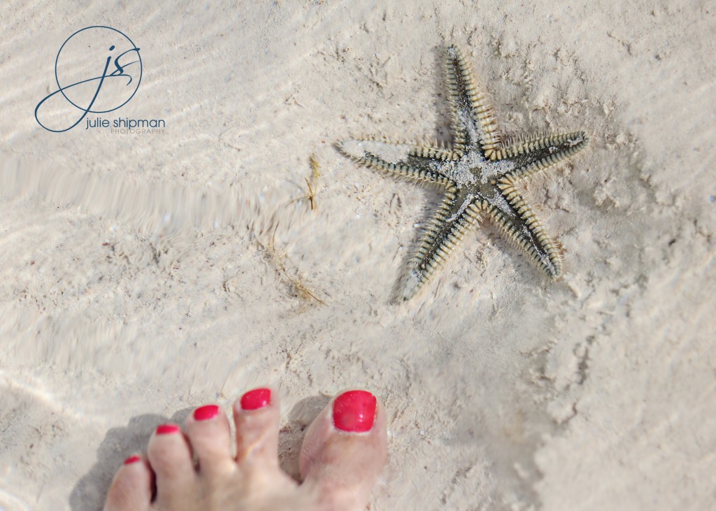 My toes again! Lovely starfish enjoying the sea, sand and sun.